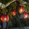 Smart Garden Ladybird Set Of 10 Solar Powered String Lights 1 Smart Garden Ladybird Set Of 10 Solar Powered String Lights -Weber || Kettler || Traeger Sales Store 1133506